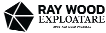 Ray Wood Exploatare SRL