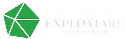 Ray Wood Exploatare SRL